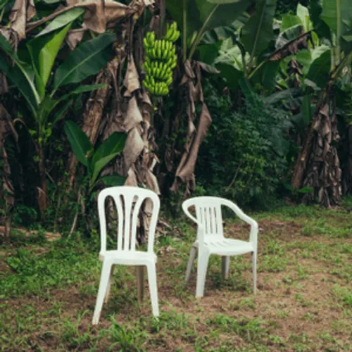 Portada del álbum Debí Tirar Más Fotos de Bad Bunny